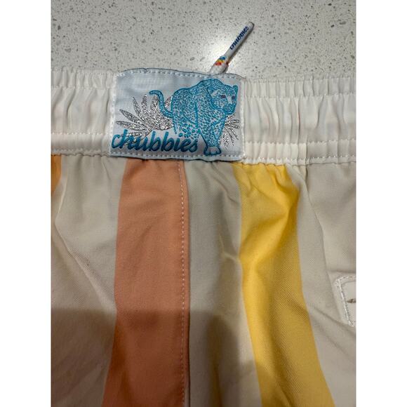 Abstract Pastel Striped Chubbies Swim Trunks L - Picture 3 of 4